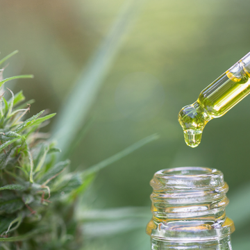 7 Natural Ingredients You Must Include in Your Hair Care Regime