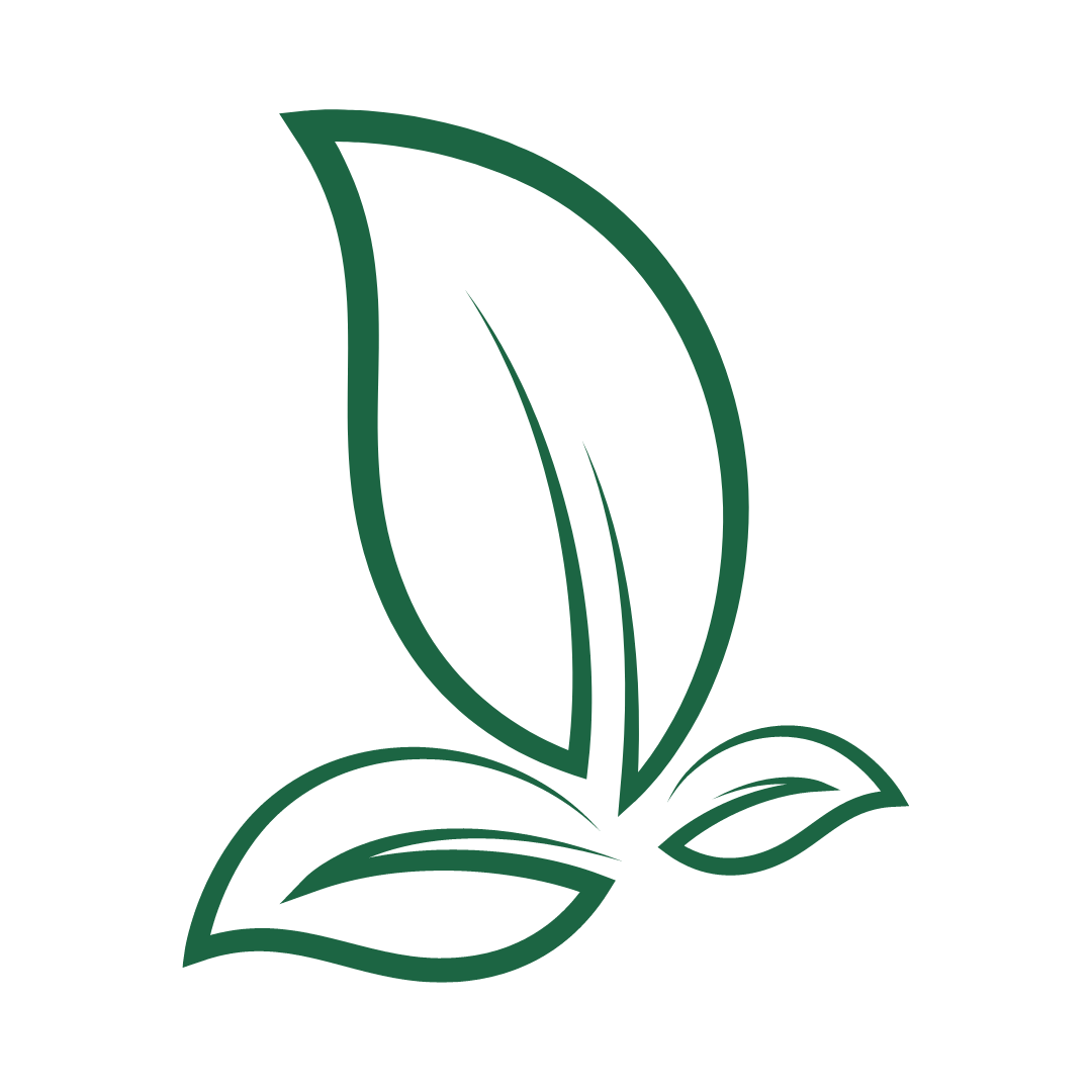 Green Leave Image
